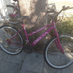 Parawan Bicycle (Purple)