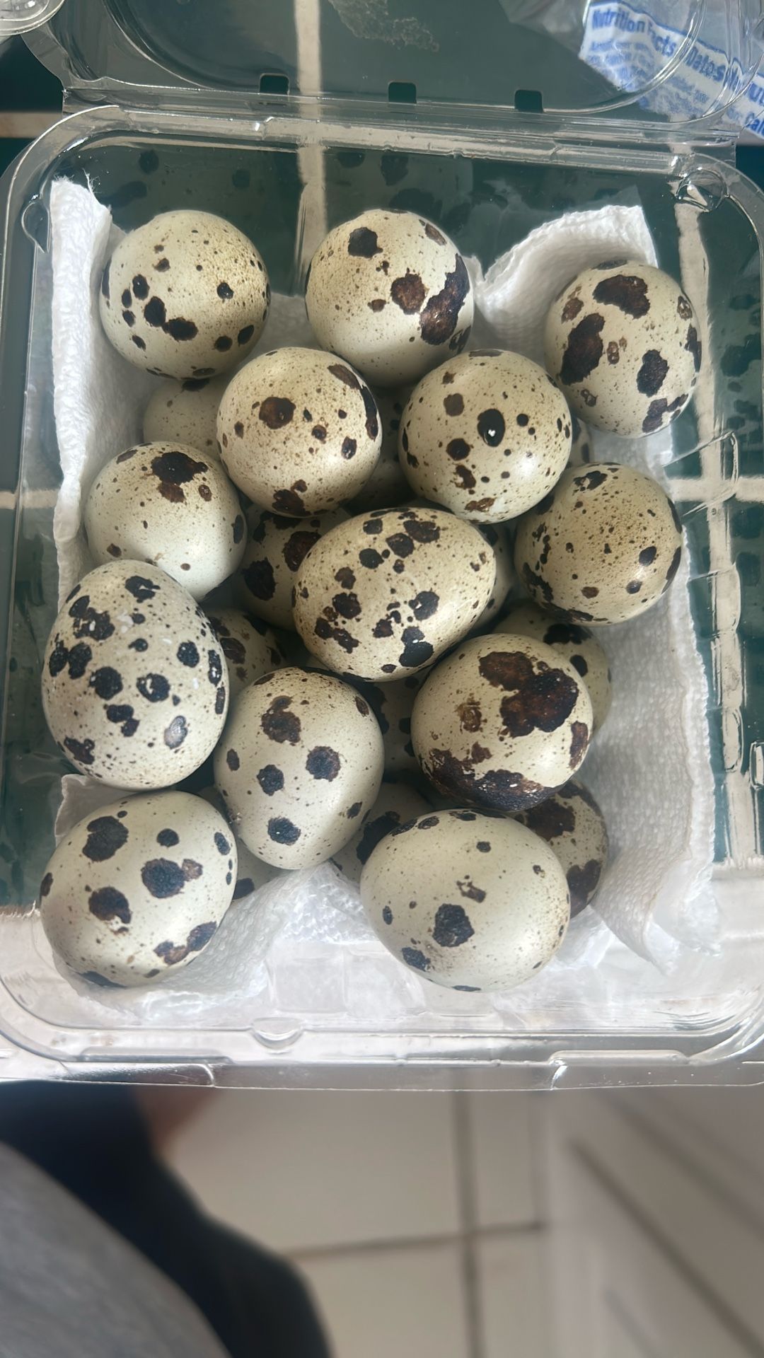 Quail Eggs And Chicken Eggs
