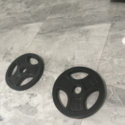 Pair Of 25lb Olympic Weight Plates Total 50lb