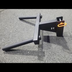 Rogue Dip Weight Bar 