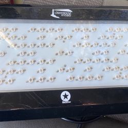 Lighthouse Hydro BlackStar 240 Watt LED grow light