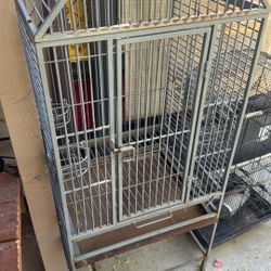 Bird cages 