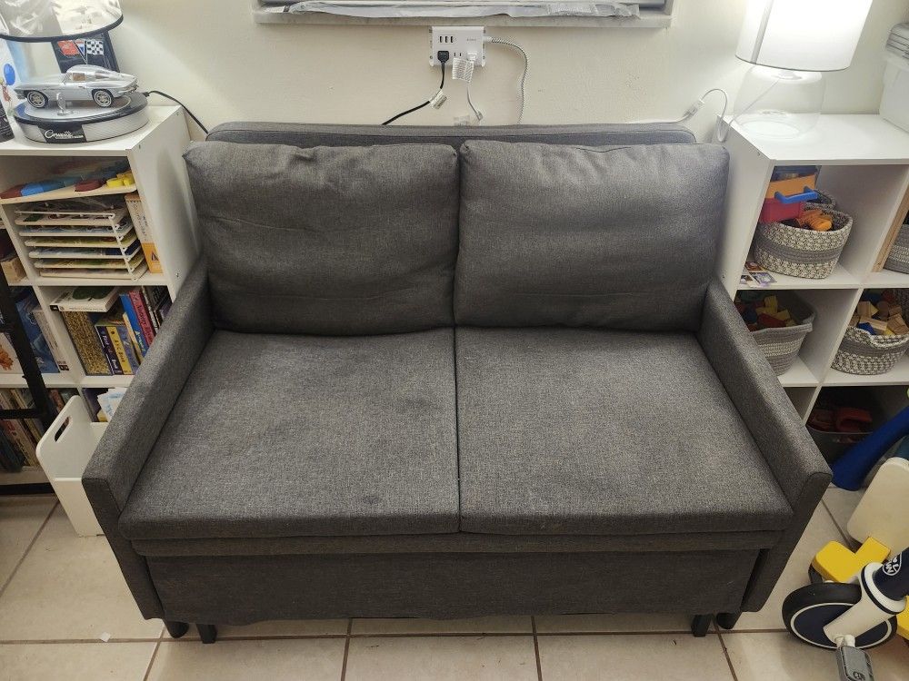 Grey Pull Out Couch