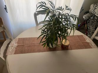 Farm house Round table with four bamboo chair