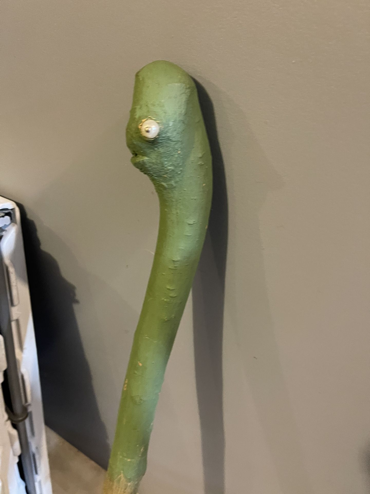 Walking Stick