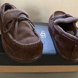 Uggs 