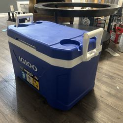 Like-New Igloo Cooler (only 1 Available)