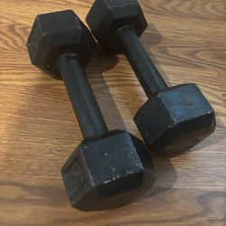 10lb Dumbbells
