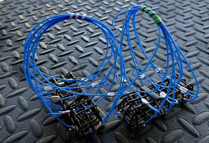 Crab Snares