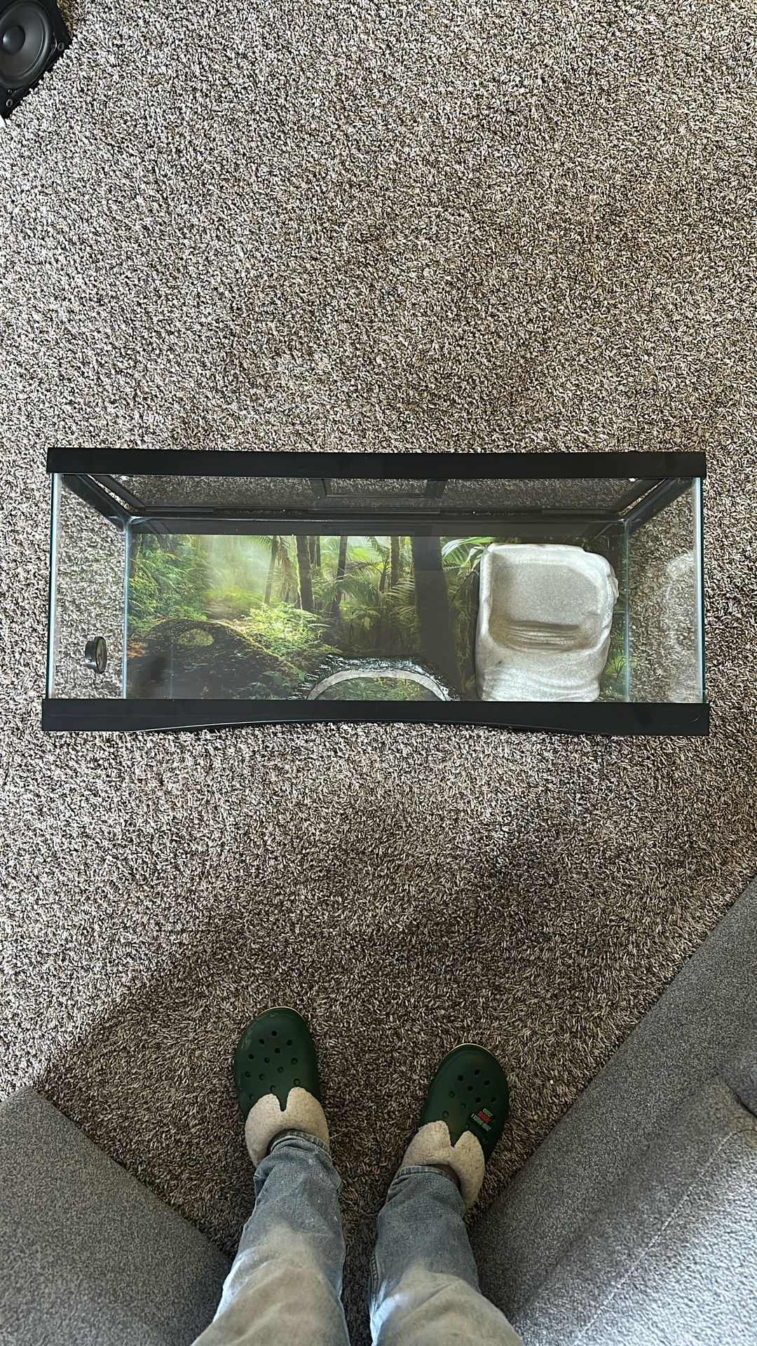 20 Gallon Long Terrarium/ Fish Tank 