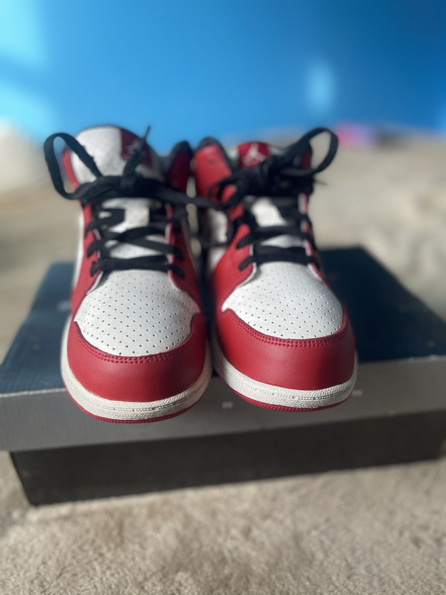 Jordan Aplha 1 Chicago