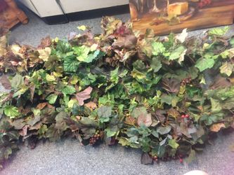 4 Grape vines decoration