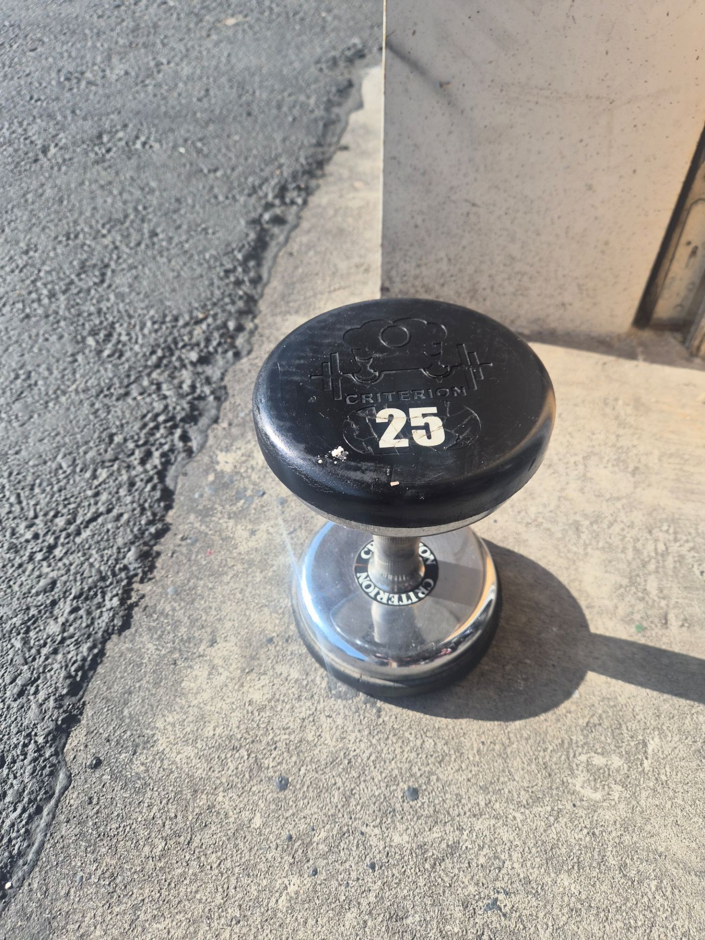 Single Dumbbell 25lbs