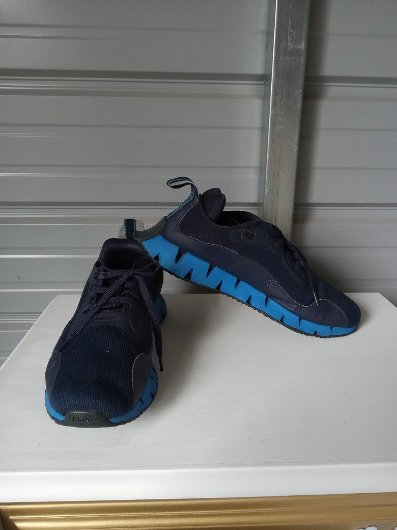 Reebok Men's Zig Dynamica Sneaker Vector Navy/Deep Cobalt