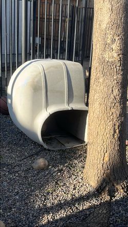 Pet Igloo
