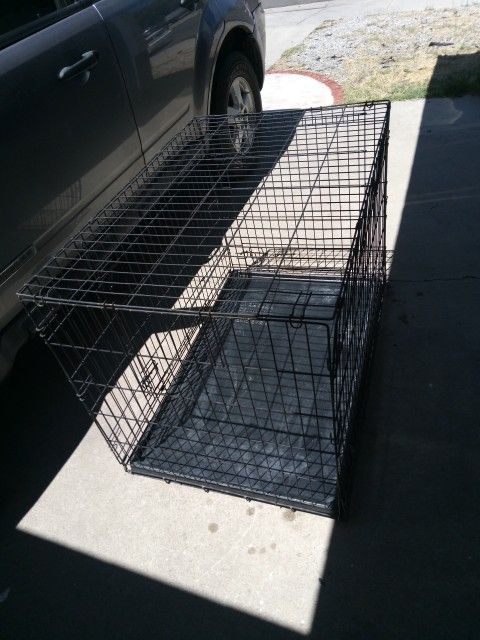 XL dog 🐈‍⬛ Crate