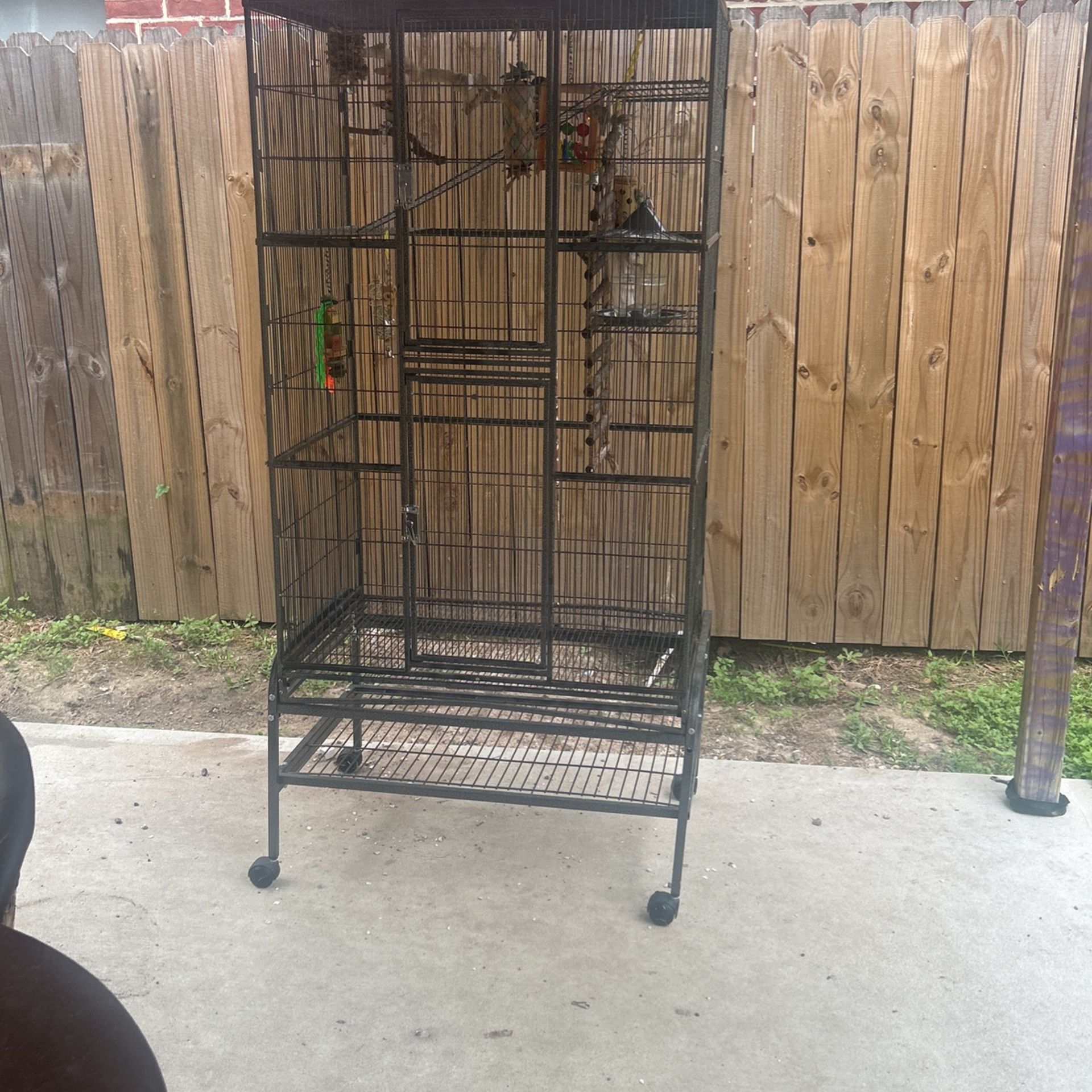 Bird Cage For Sale With Everything Inside 