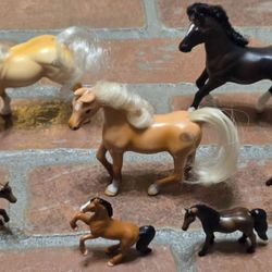 Vintage Grand Champion Mini Horse Lot 