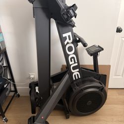 Rogue Fitness Echo Rower