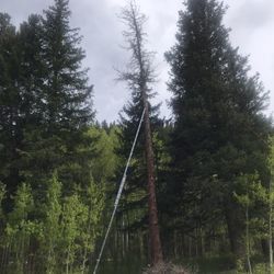 40 FOOT TYPE II ALUMINUM D-RUNG EXTENSION LADDER