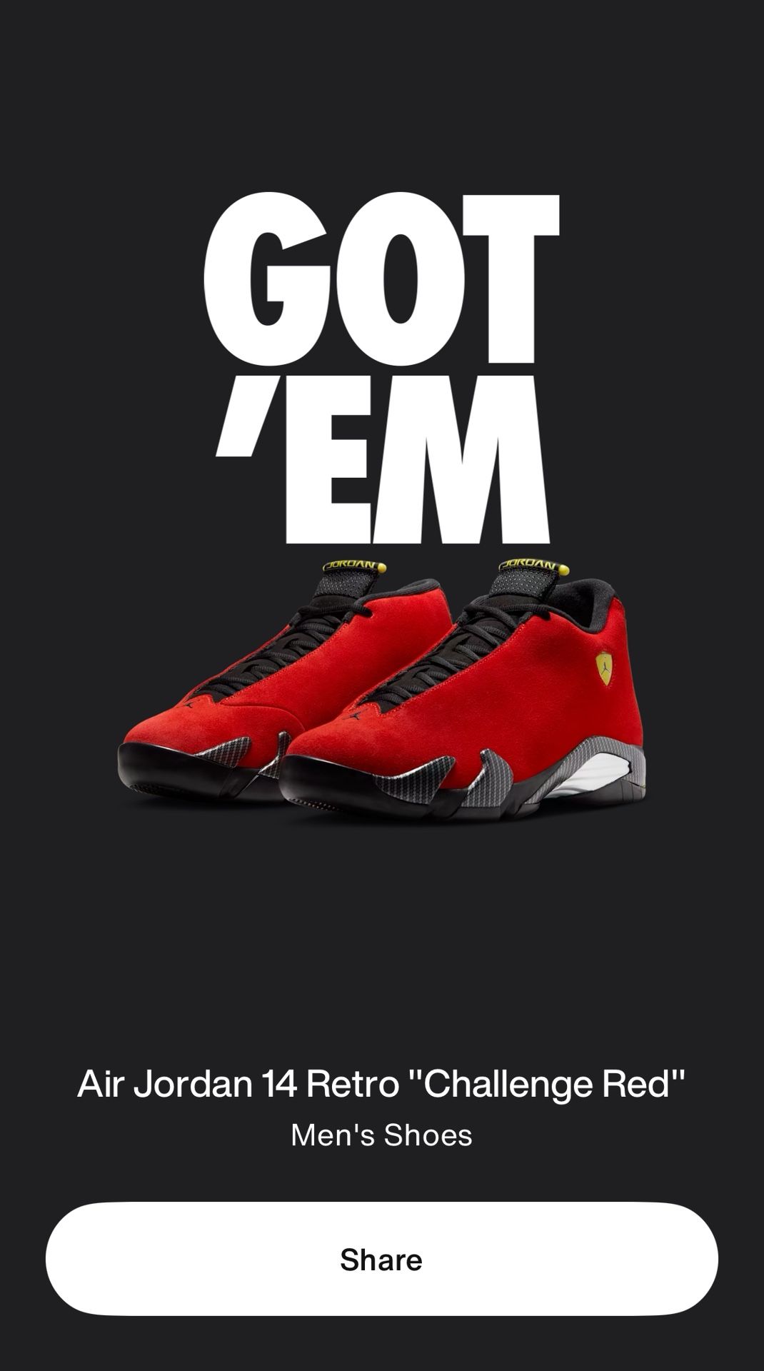 Air Jordan 14