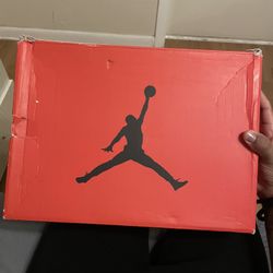 Air Jordan Retro 6 9.5