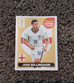 Bellingham sticker