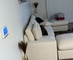 Wayfair Couch