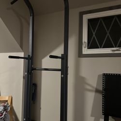 Pull Up / Dip Station