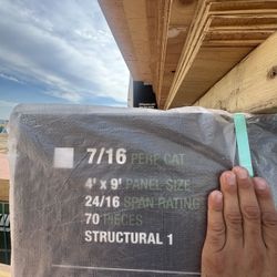 Plywood ZIP System BUILDING ENCLOSURES 