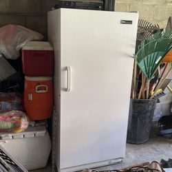 Stsnd up industry Deep Freezer