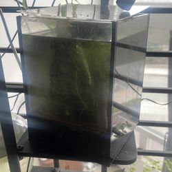 Nano shrimp tank comes with everything you see