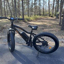 Rad Rover Electric Bike - used a total of 9 times and was garage kept. <50 miles odometer!