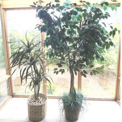 Tall Faux Plants Warm Up Home Or Office