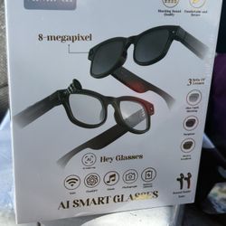 AI Smart Glasses