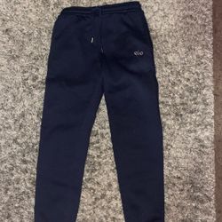Navy Blue alo pants 