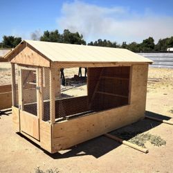 Chicken coop / run