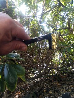 Oakley Holbrook™ XL sunglasses