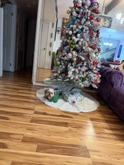 Christmas Tree with accessories