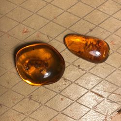 Amber With bee Inclusion
