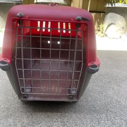 Puppy Cage 