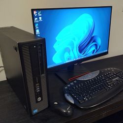 HP Desk Pro - Complete, 24" Widescreen, Webcam, WiFi, - Windows 11 Pro+ Tons Of Apps 