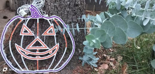 Halloween decor ✨🎃✨