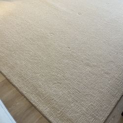 BRAND NEW Karastan 9x12  Area Rug
