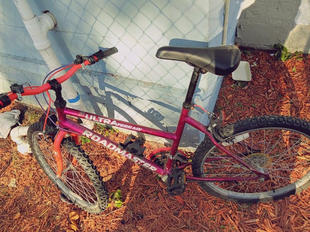 Mountain Bike