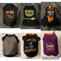 Pet Halloween Clothes