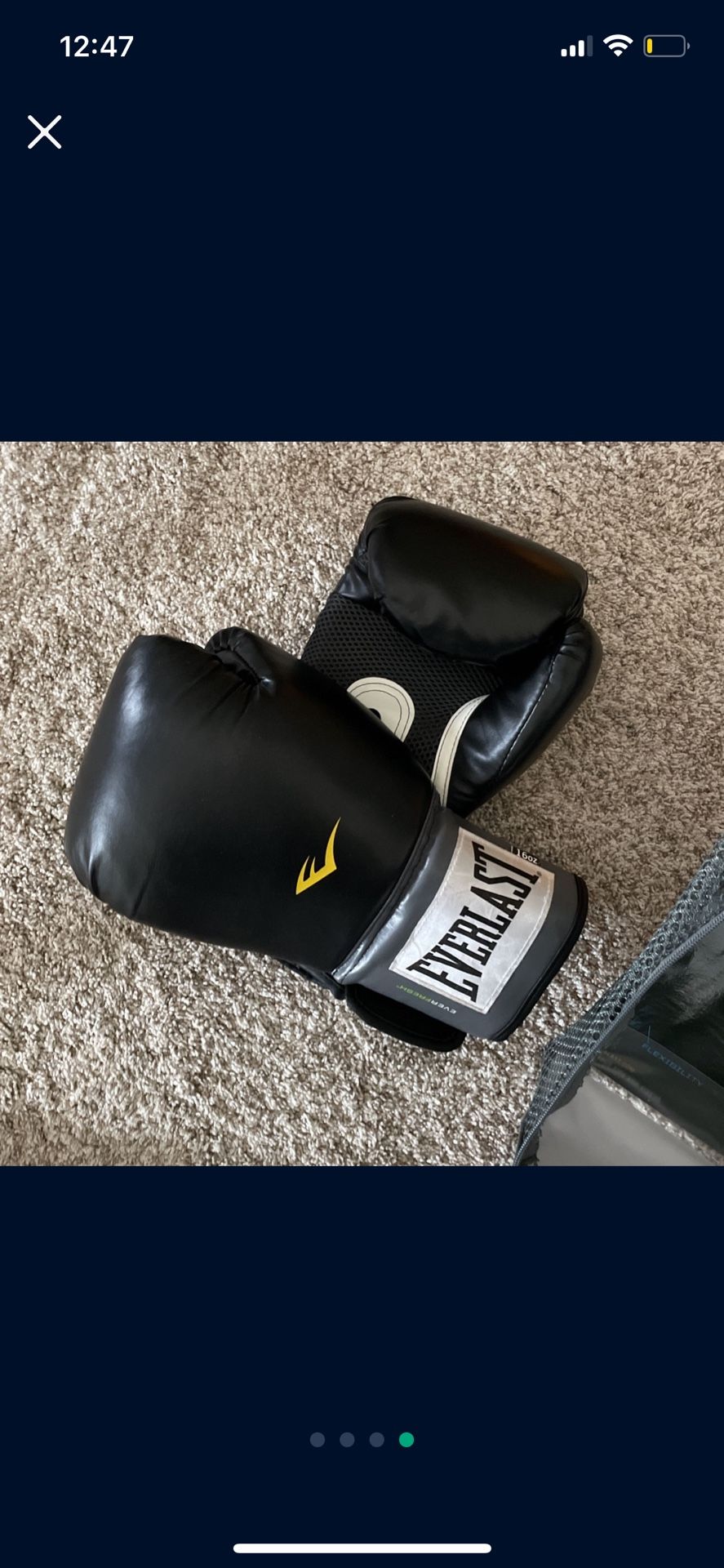 Everlast Pro Style Training Gloves 16 Oz