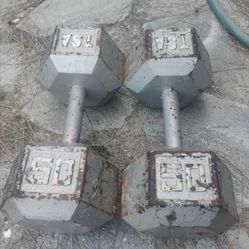 50 pound dumbbells (2)