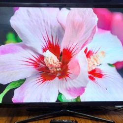 60" 1080p Plasma HDTV Model 2014
