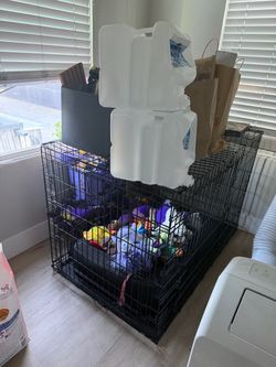 Large wire dog crate